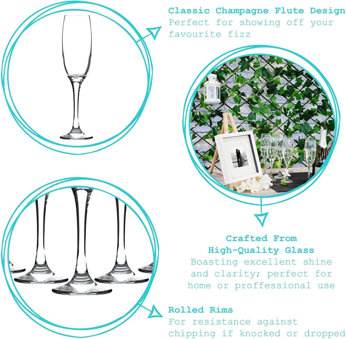 Classic Champagne Flutes Set of 24