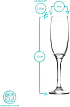 Classic Champagne Flutes Set of 24